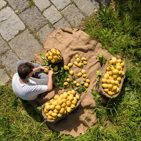 Tenuta Di Leva Farm stay