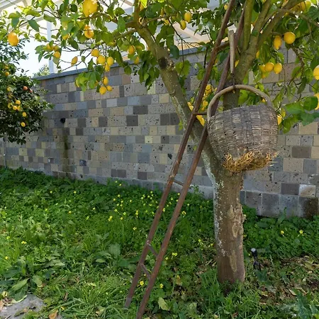 Farm stay Tenuta Di Leva *